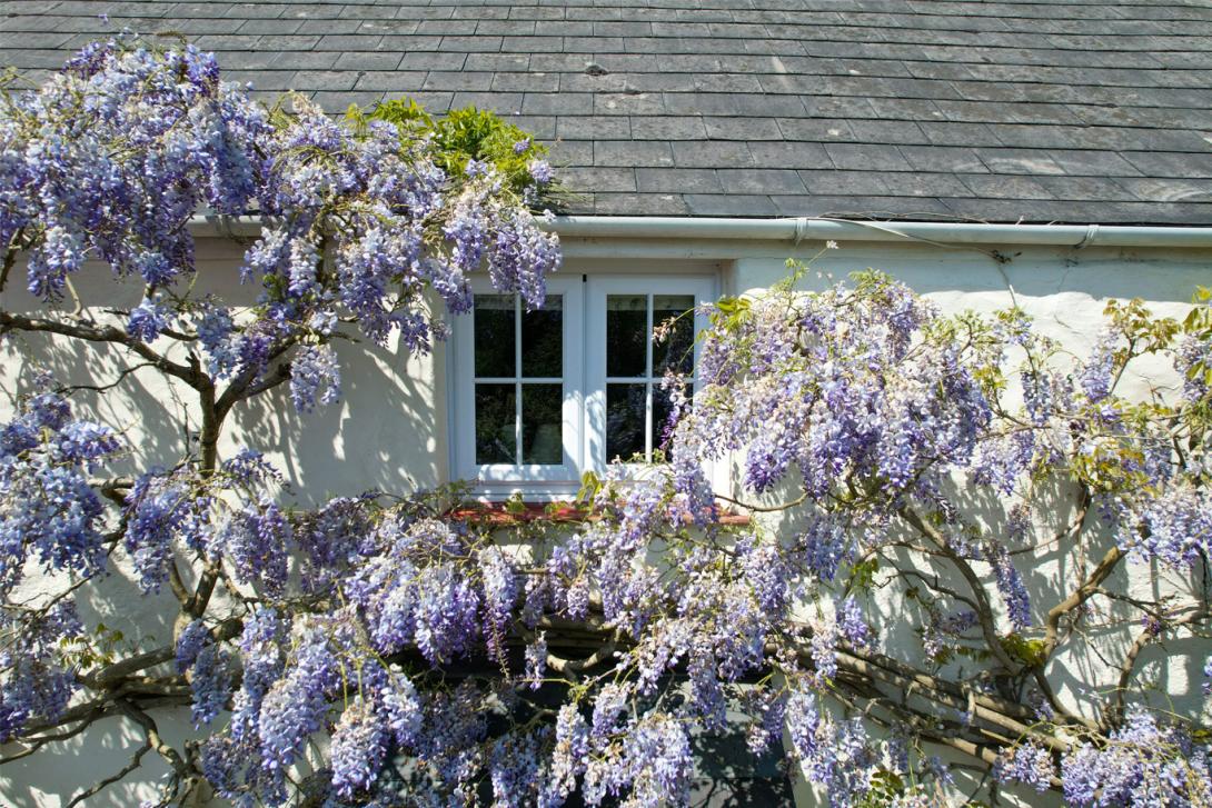 French casement windows fitted with A-rated astragal bars at Combas Farm