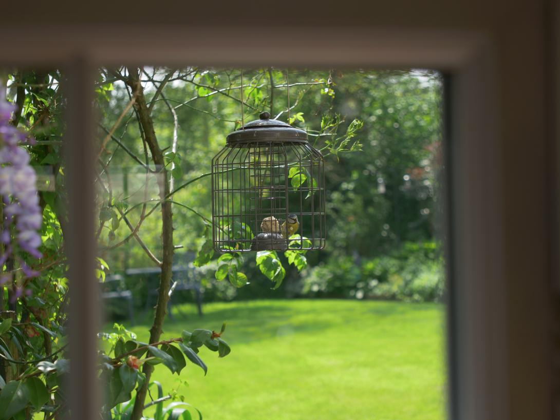 A rated French casement windows with a bird feeder in shot
